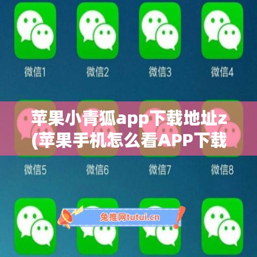 苹果小青狐app下载地址z(苹果手机怎么看APP下载地址)