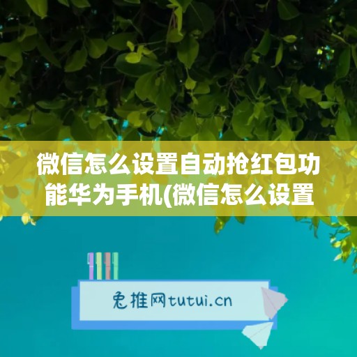 微信怎么设置自动抢红包功能华为手机(微信怎么设置抢红包)