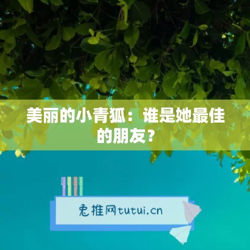 美丽的小青狐：谁是她最佳的朋友？