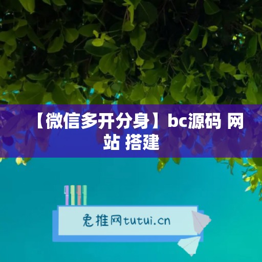 【微信多开分身】bc源码 网站 搭建