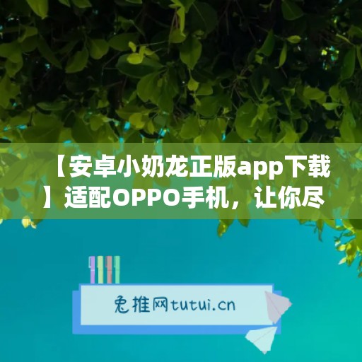 【安卓小奶龙正版app下载】适配OPPO手机，让你尽享游戏乐趣