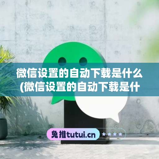 微信设置的自动下载是什么(微信设置的自动下载是什么功能)