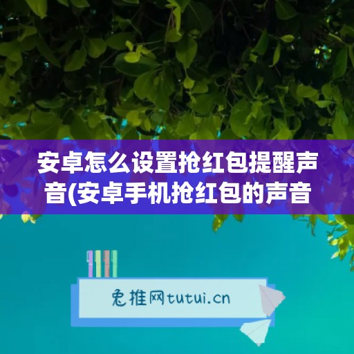 安卓怎么设置抢红包提醒声音(安卓手机抢红包的声音怎么关闭)