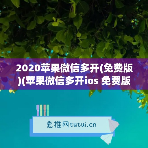 2020苹果微信多开(免费版)(苹果微信多开ios 免费版)