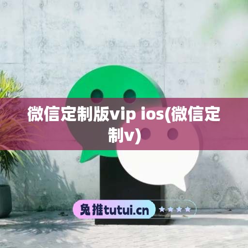 微信定制版vip ios(微信定制v)