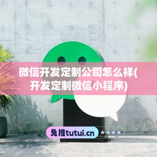 微信开发定制公司怎么样(开发定制微信小程序)