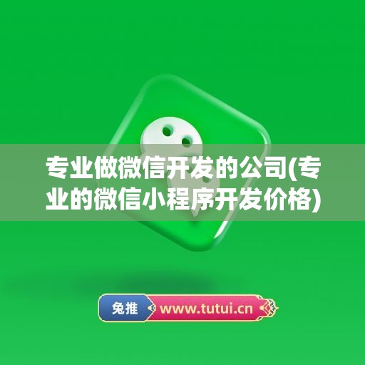 专业做微信开发的公司(专业的微信小程序开发价格)