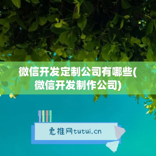 微信开发定制公司有哪些(微信开发制作公司)