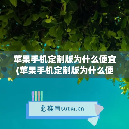 苹果手机定制版为什么便宜(苹果手机定制版为什么便宜很多)