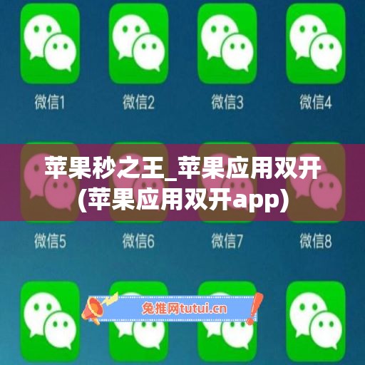 苹果秒之王_苹果应用双开(苹果应用双开app)