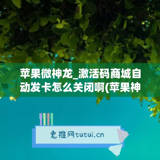 苹果微神龙_激活码商城自动发卡怎么关闭啊(苹果神奇微商激活码)