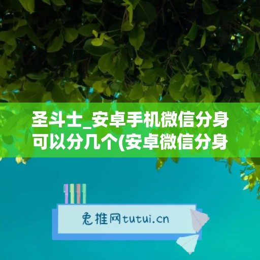 圣斗士_安卓手机微信分身可以分几个(安卓微信分身最多可以弄几个)