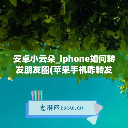 安卓小云朵_iphone如何转发朋友圈(苹果手机咋转发朋友圈)