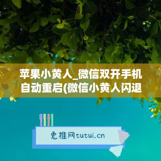 苹果小黄人_微信双开手机自动重启(微信小黄人闪退是什么原因)