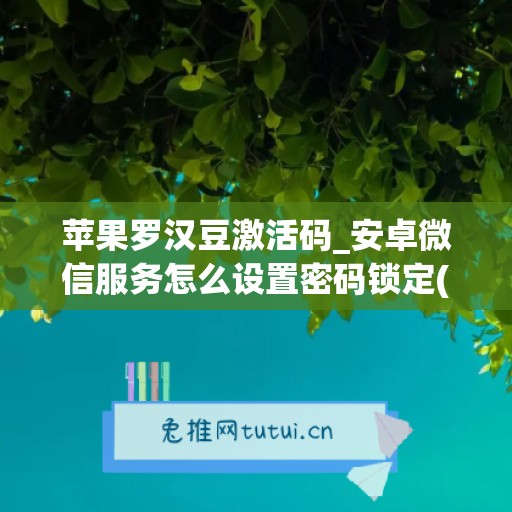 苹果罗汉豆激活码_安卓微信服务怎么设置密码锁定(罗汉豆又叫什么豆)