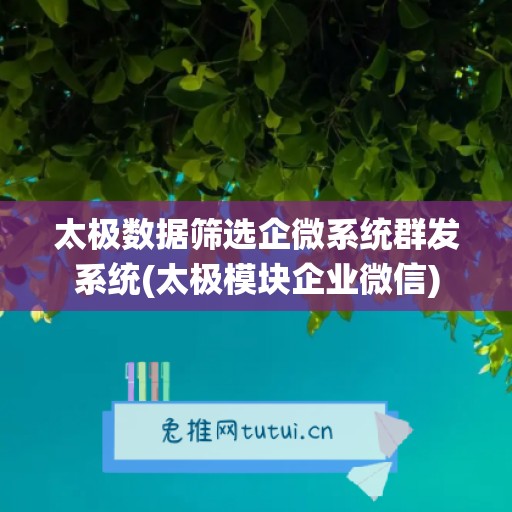 太极数据筛选企微系统群发系统(太极模块企业微信)