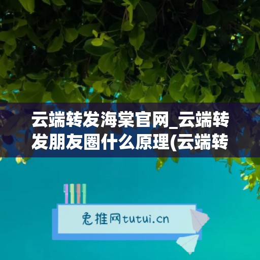 云端转发海棠官网_云端转发朋友圈什么原理(云端转发商城)