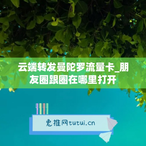 云端转发曼陀罗流量卡_朋友圈跟圈在哪里打开