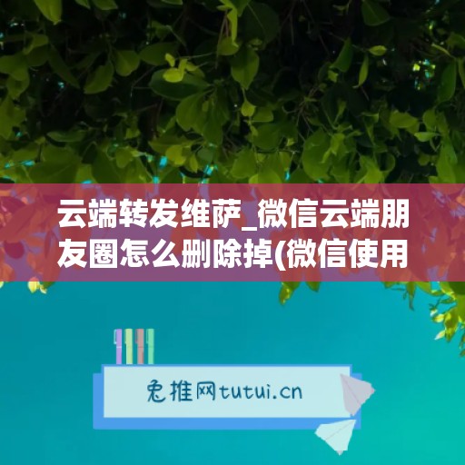 云端转发维萨_微信云端朋友圈怎么删除掉(微信使用云端转发软件有没有风险)