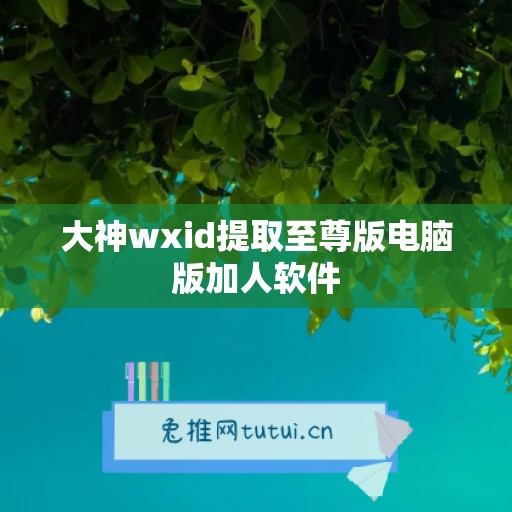 大神wxid提取至尊版电脑版加人软件