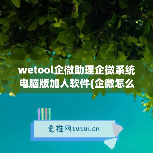 wetool企微助理企微系统电脑版加人软件(企微怎么加好友)