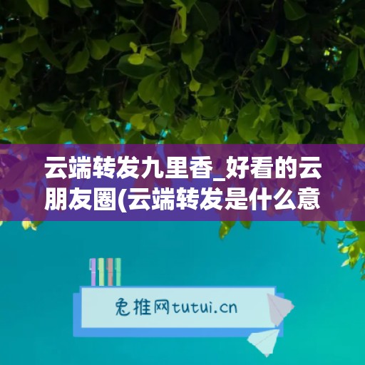 云端转发九里香_好看的云朋友圈(云端转发是什么意思)