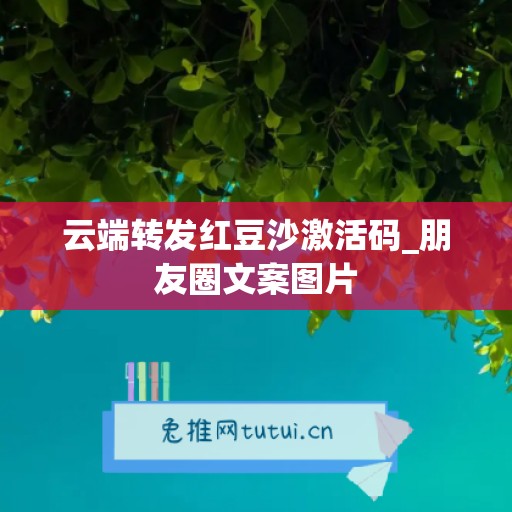 云端转发红豆沙激活码_朋友圈文案图片