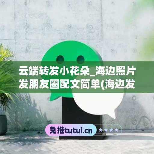 云端转发小花朵_海边照片发朋友圈配文简单(海边发照片到朋友圈怎么说)