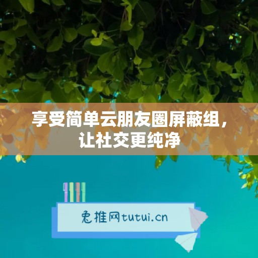 享受简单云朋友圈屏蔽组，让社交更纯净