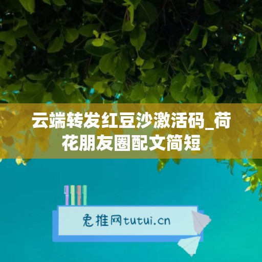 云端转发红豆沙激活码_荷花朋友圈配文简短