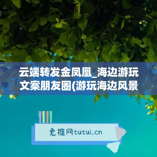 云端转发金凤凰_海边游玩文案朋友圈(游玩海边风景发朋友圈文字)