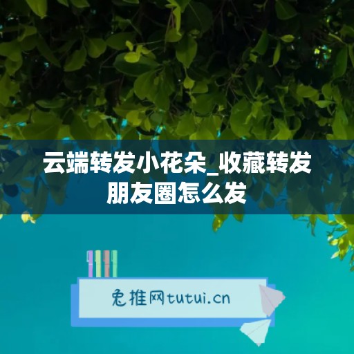 云端转发小花朵_收藏转发朋友圈怎么发