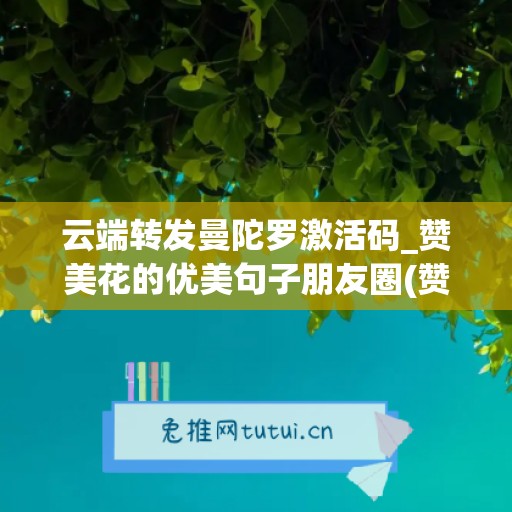 云端转发曼陀罗激活码_赞美花的优美句子朋友圈(赞美曼陀罗花的歌曲)