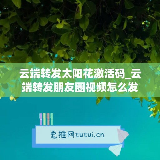 云端转发太阳花激活码_云端转发朋友圈视频怎么发