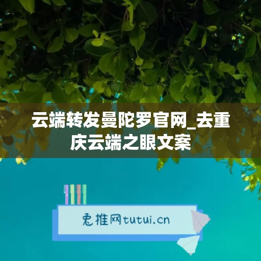 云端转发曼陀罗官网_去重庆云端之眼文案