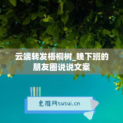 云端转发梧桐树_晚下班的朋友圈说说文案