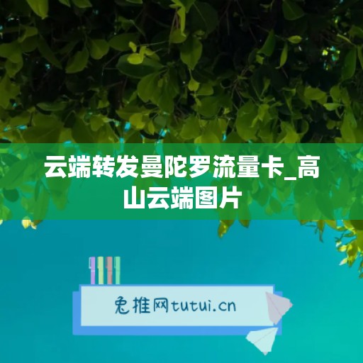 云端转发曼陀罗流量卡_高山云端图片