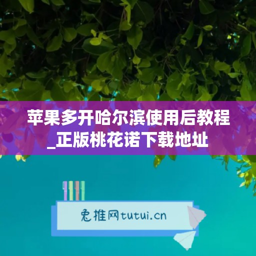 苹果多开哈尔滨使用后教程_正版桃花诺下载地址