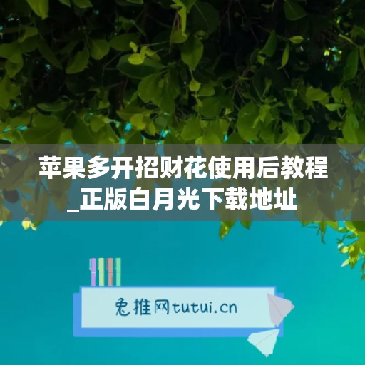 苹果多开招财花使用后教程_正版白月光下载地址