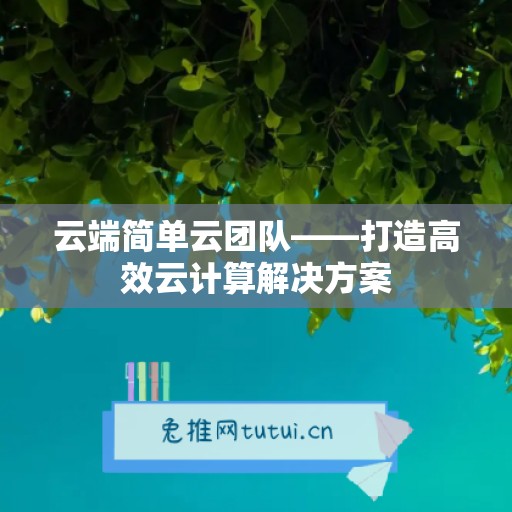 云端简单云团队——打造高效云计算解决方案