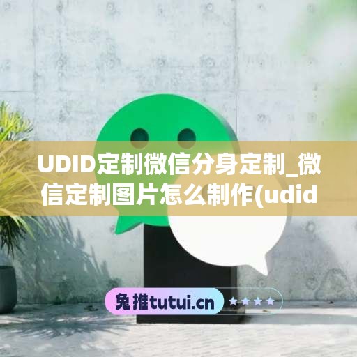 UDID定制微信分身定制_微信定制图片怎么制作(udid定制软件)