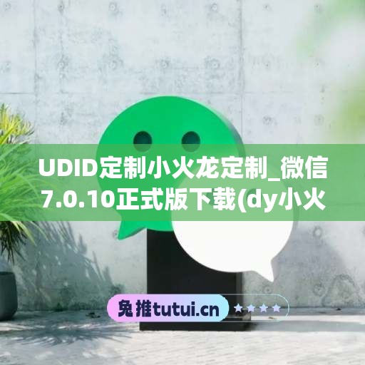 UDID定制小火龙定制_微信7.0.10正式版下载(dy小火龙)