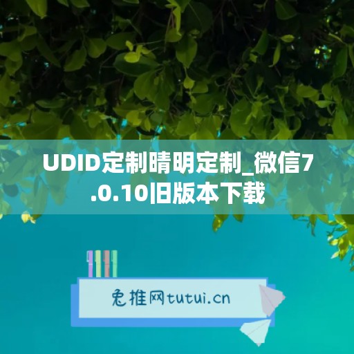 UDID定制晴明定制_微信7.0.10旧版本下载