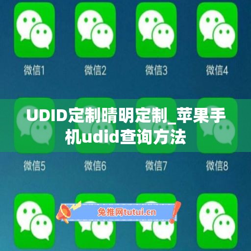 UDID定制晴明定制_苹果手机udid查询方法