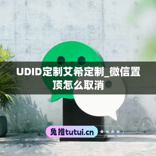 UDID定制艾希定制_微信置顶怎么取消