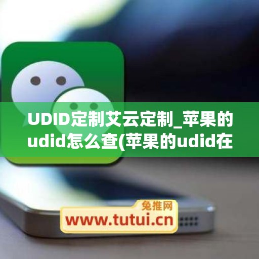 UDID定制艾云定制_苹果的udid怎么查(苹果的udid在哪里查看)