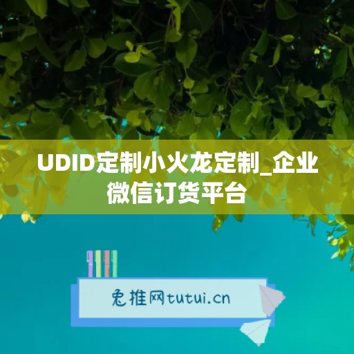 UDID定制小火龙定制_企业微信订货平台