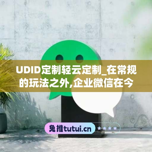 UDID定制轻云定制_在常规的玩法之外,企业微信在今年也推出了定制专属的