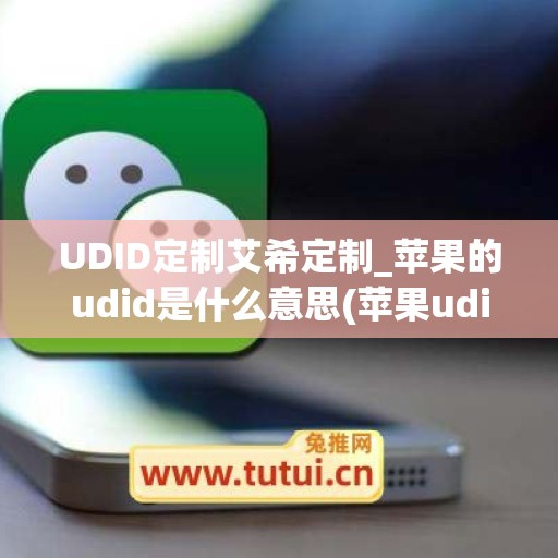 UDID定制艾希定制_苹果的udid是什么意思(苹果udid定制证书有什么用)