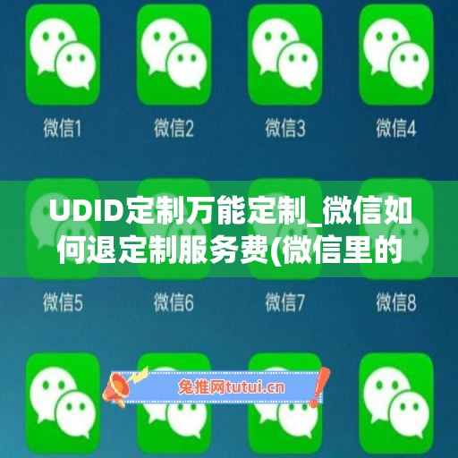 UDID定制万能定制_微信如何退定制服务费(微信里的定制服务在哪里)